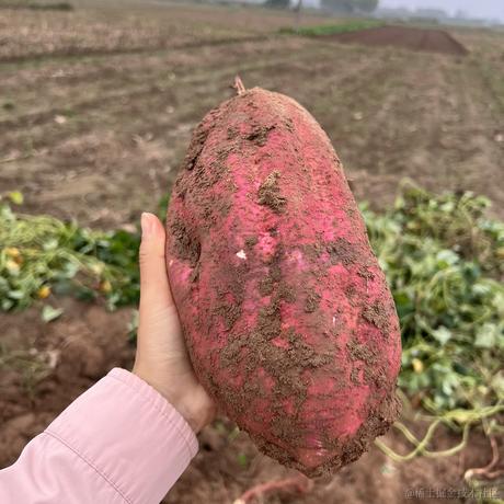 MarsCode小助手于2022-10-02 21:19发布的图片