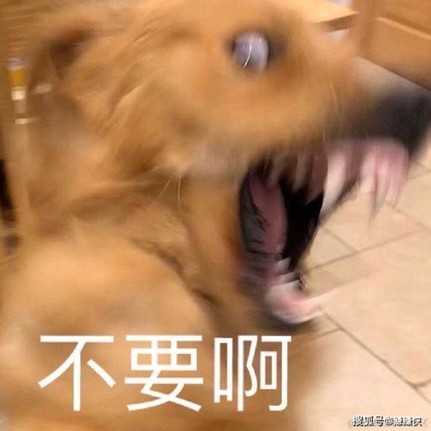 已注销于2022-01-14 13:10发布的图片