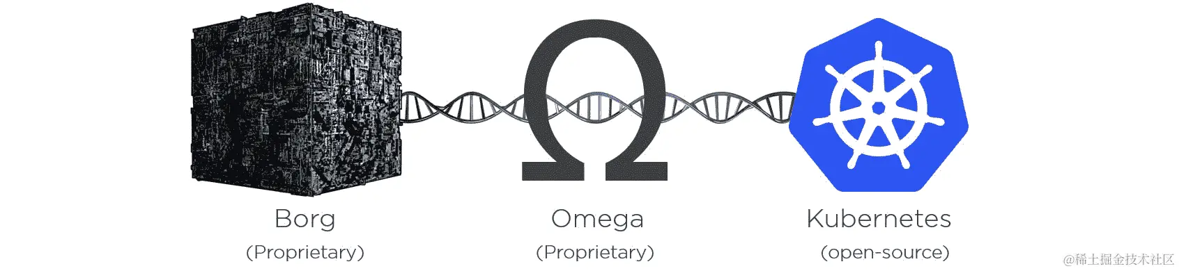 图 1.3 - 共享的 DNA