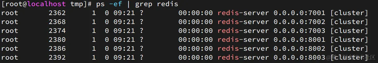 image-20210702174255799