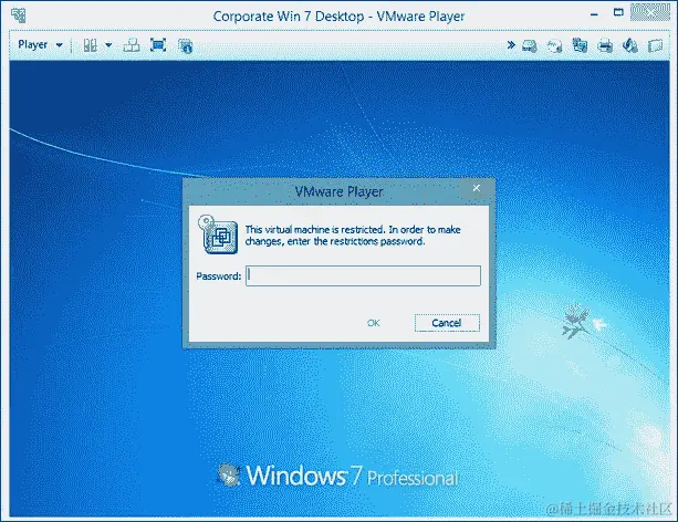 VMware Player Plus