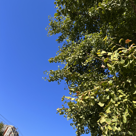 我是小仙女哈哈于2022-09-23 08:53发布的图片