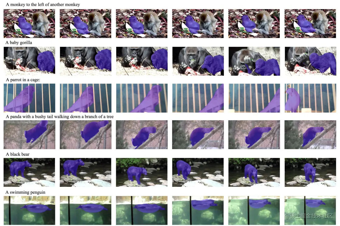 Figure 6. Zero-shot referring segmentation for YouTubeVOS video dataset.