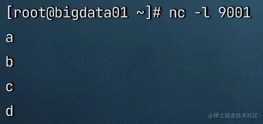 image-20230131235759996