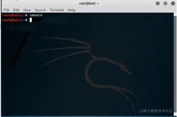 Kali Linux VMware output 3