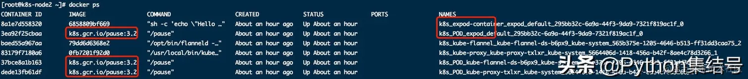 kubernetes的基本单位Pod详解