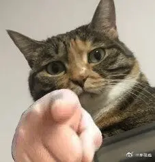 6c0e80a3247ff69f8f99d55c122a1181.jpeg