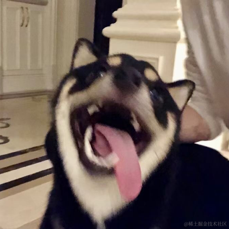 生刍于2021-05-17 23:23发布的图片