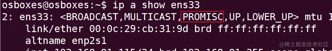 image-20211117172737803