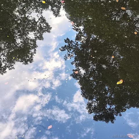 user8167616976815于2022-11-19 12:14发布的图片