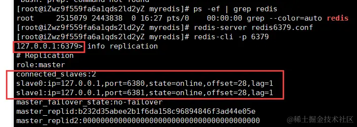 image-20211205183612330
