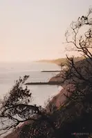 photo by Pat Whelen on Unsplash