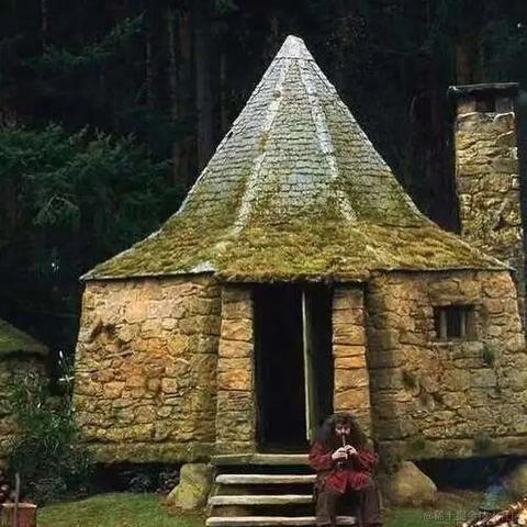 格兰芬多粪弹小王子于2022-12-28 07:22发布的图片