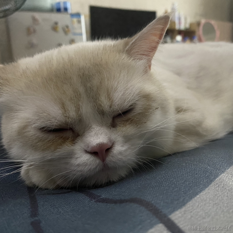 打瞌睡的专家于2022-06-20 22:55发布的图片