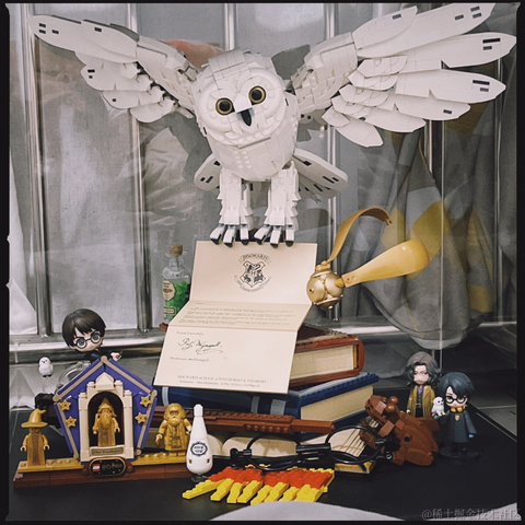 皮皮皮皮皮喵于2023-03-03 09:29发布的图片