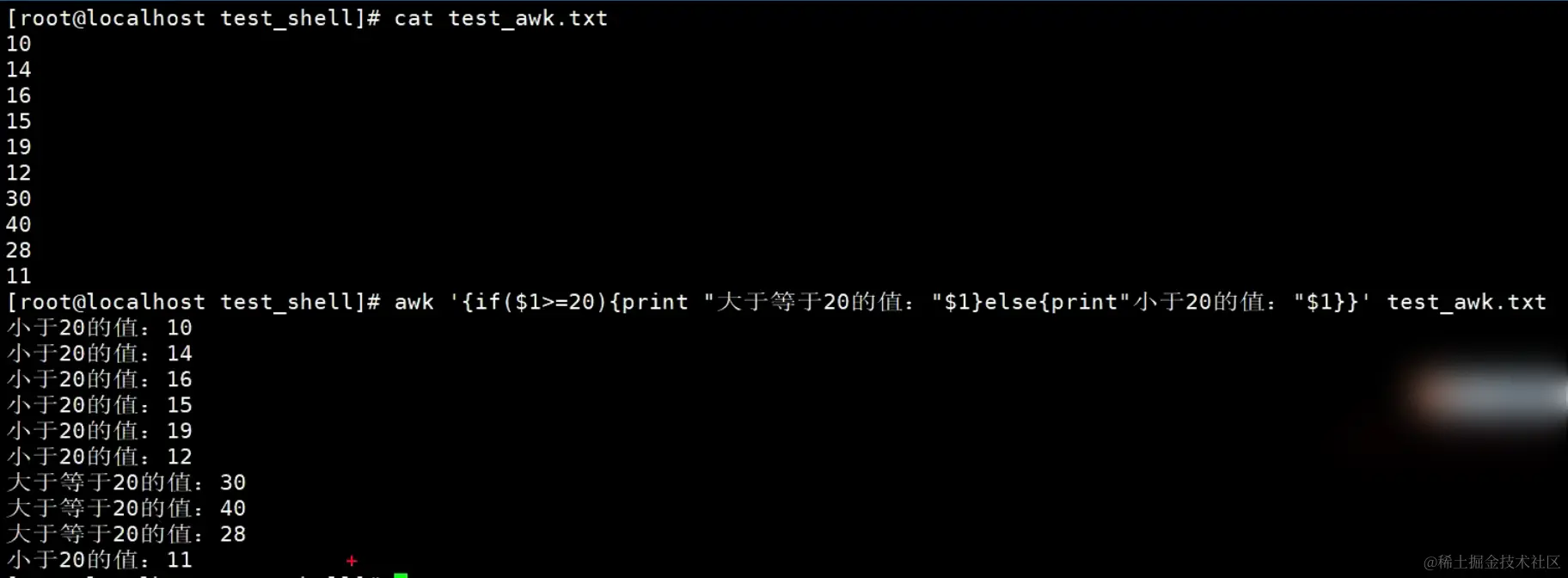 image-20240203140139314