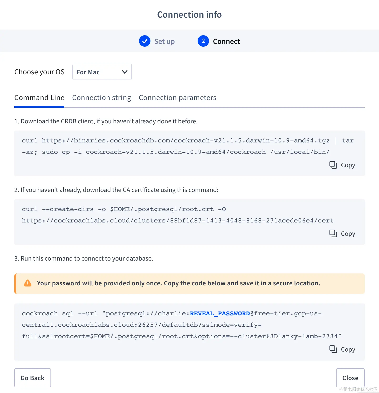 cockroach cloud connection info