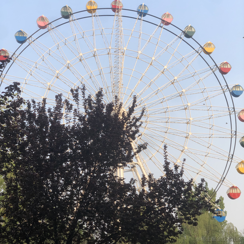 用户5461400929094于2023-04-09 08:03发布的图片