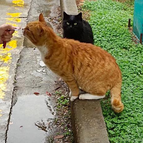 estar于2022-11-18 16:44发布的图片