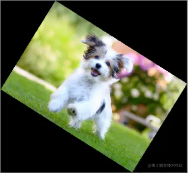 Rotate Image by Angle in Python OpenCV imutil.rotate_bound()