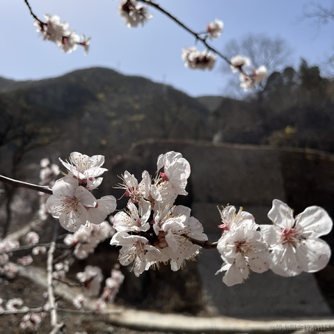 codeniu于2023-03-14 08:32发布的图片