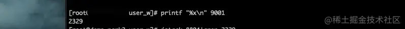 image-20220901002101342