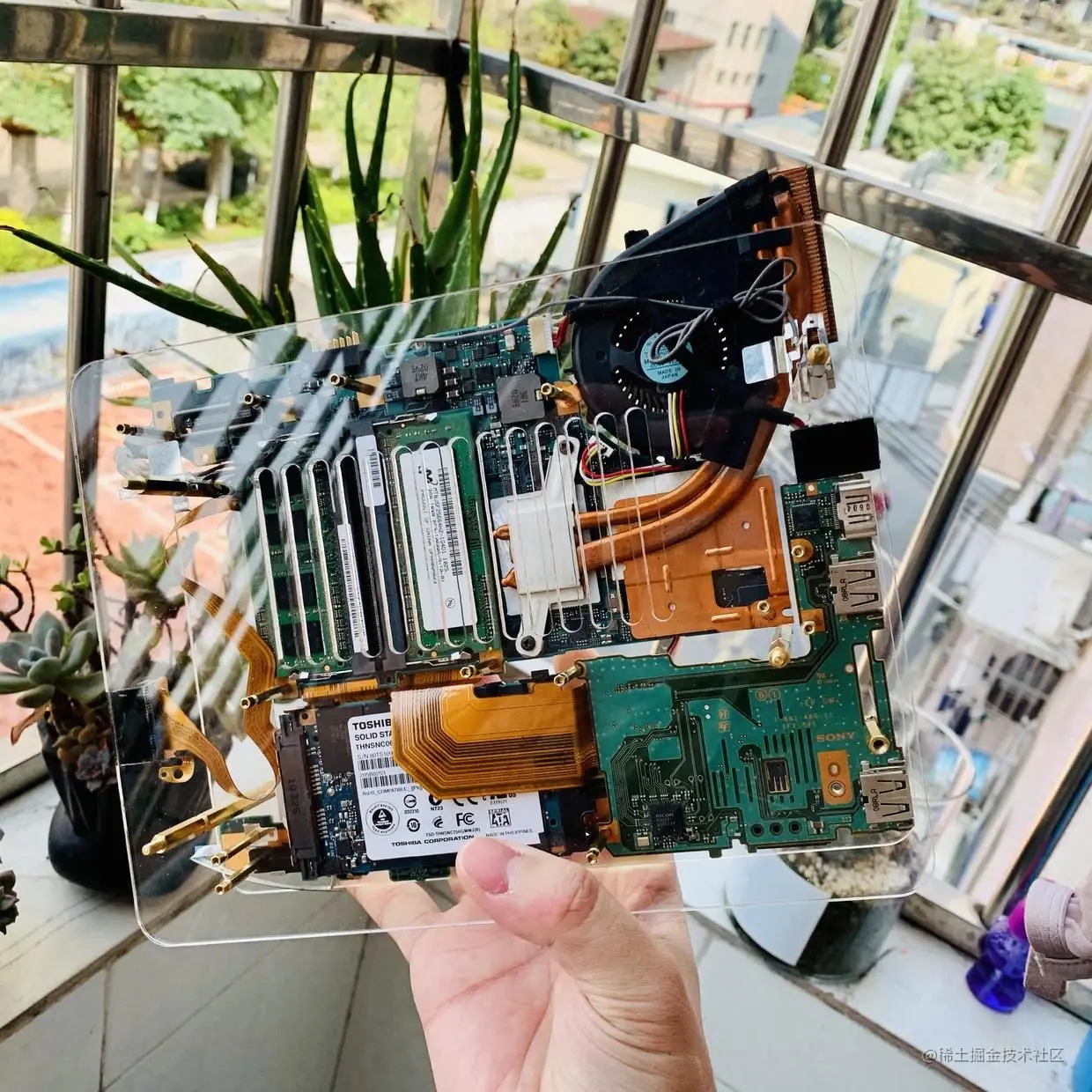 13653457-1e9daae288dc6f55