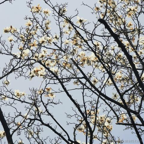 小白7码于2022-03-15 13:02发布的图片