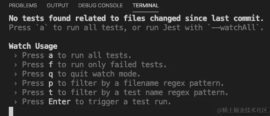 图 6.7 – 测试运行选项