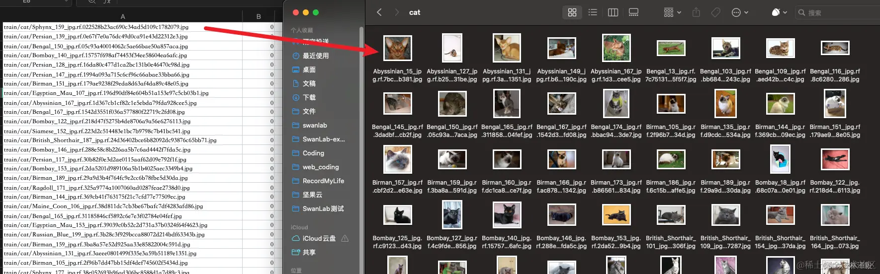 左图作为train.csv，右图为train文件夹中的cat文件夹中的图像