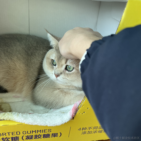 JAVA旭阳于2023-01-20 15:35发布的图片