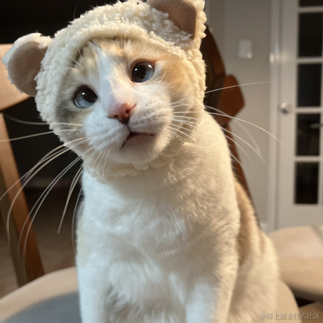 Red_balloon于2022-09-29 08:49发布的图片