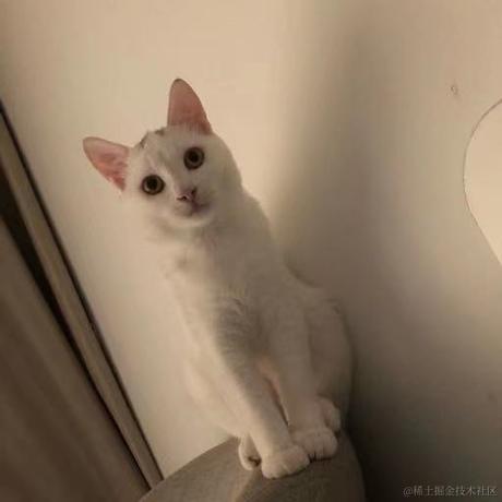 mooncoder于2021-07-16 11:14发布的图片