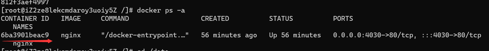 docker-ps-a