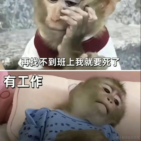 小肥鸭于2024-06-26 16:18发布的图片