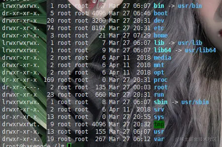 image-20220328093847908