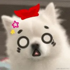 奇迹是九色的于2022-11-14 11:55发布的图片