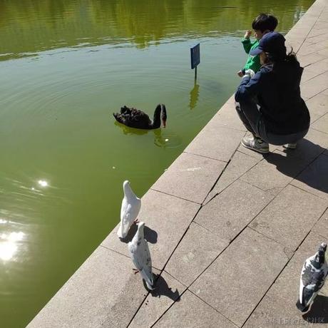 掘金齐天大圣于2023-06-01 00:08发布的图片