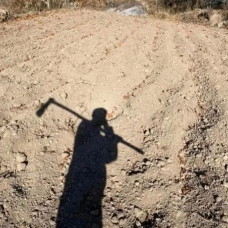 树洞robot于2023-07-19 15:15发布的图片