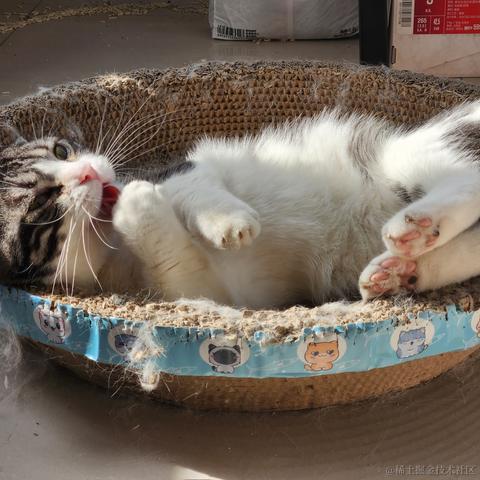 已注销于2023-05-17 08:47发布的图片