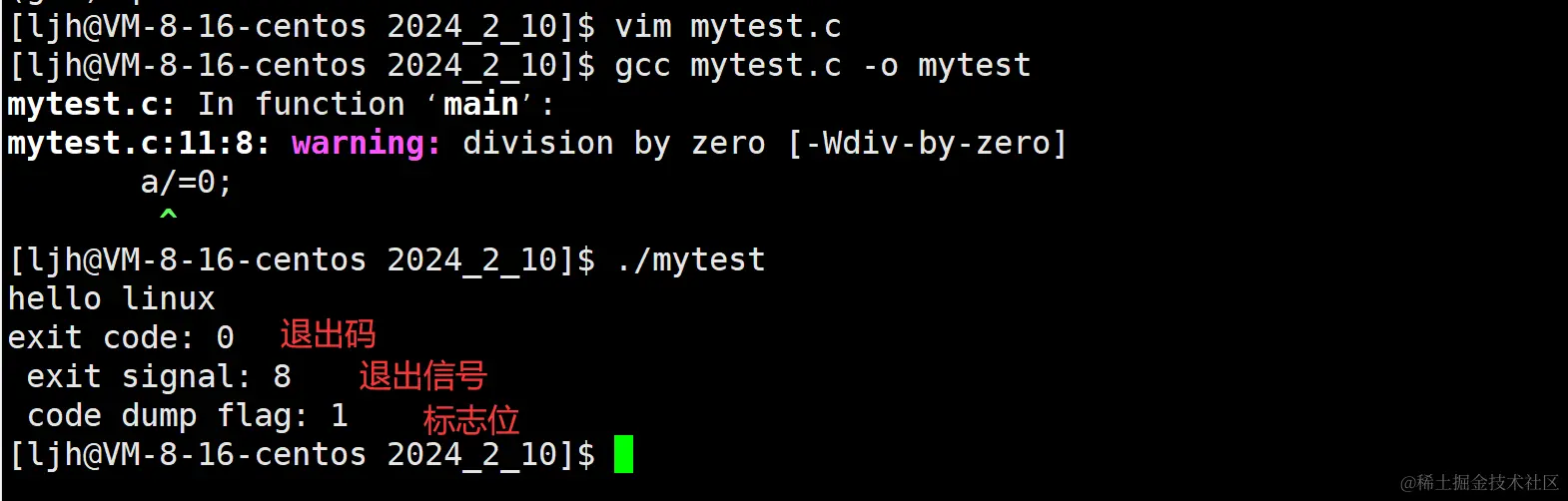 image-20240211011122407