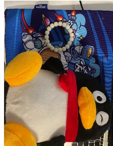 image-20211211212225334