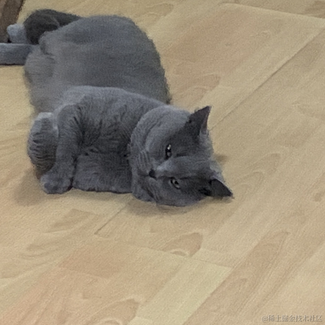 一只小橘猫于2022-01-06 07:02发布的图片