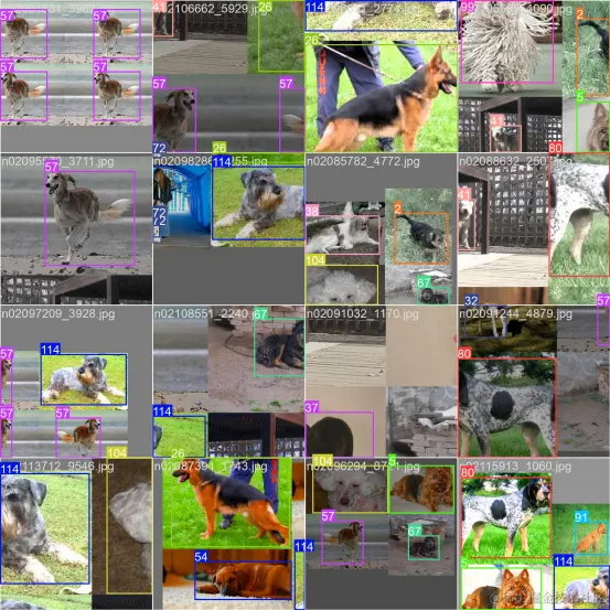 基于YOLOv8模型的120类狗狗目标检测系统14841.png