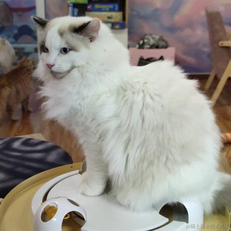 梓风于2022-11-20 11:33发布的图片