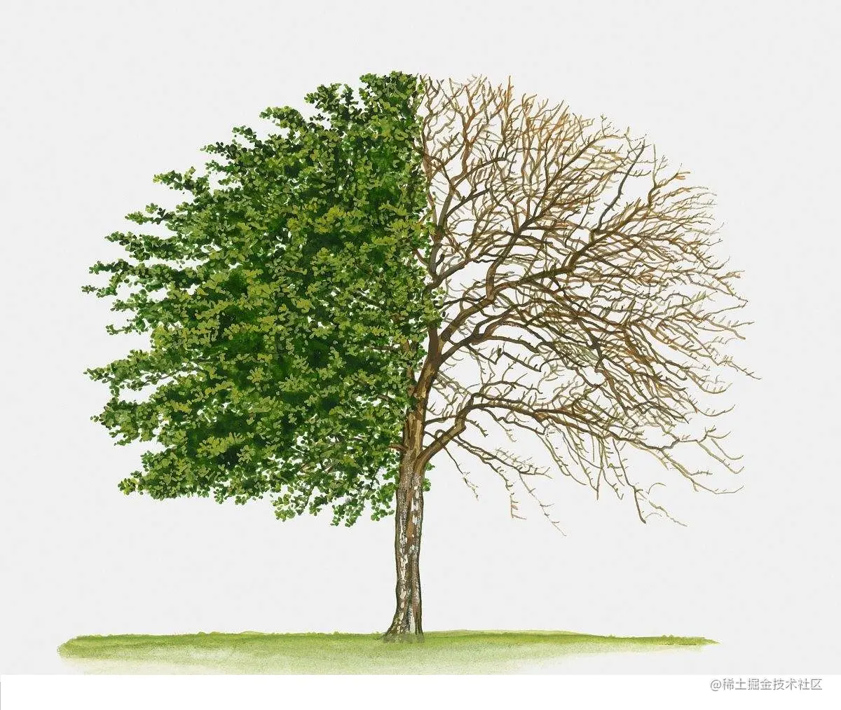 image-20220806091739000