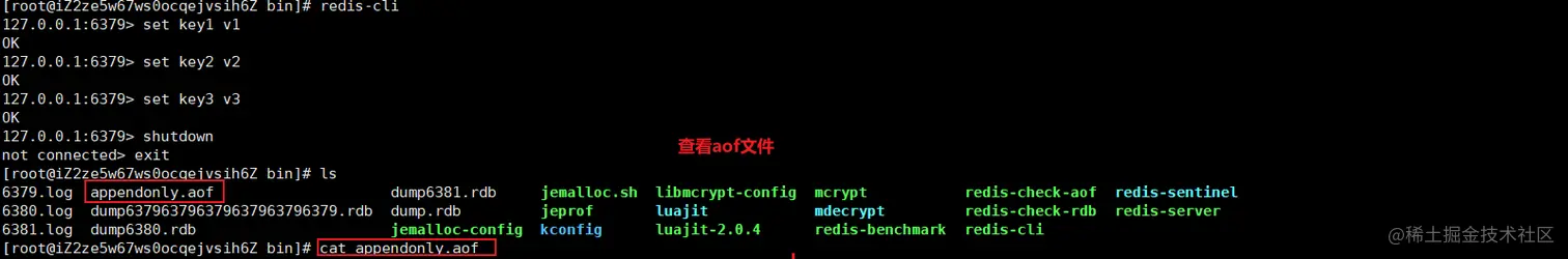 image-20200503160319265