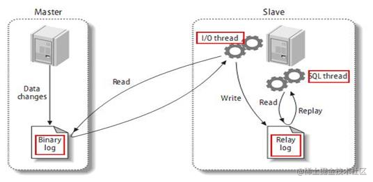 Docker container constructs mysql primary and secondary servers ...