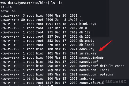 image-20211018213417109